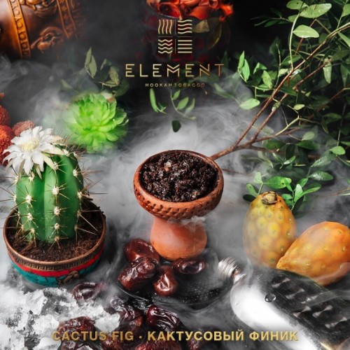 Element – Кактусовый финик